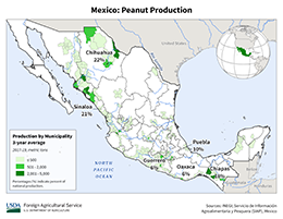 images\MX\Municipality\Mexico_Peanut_preview.png